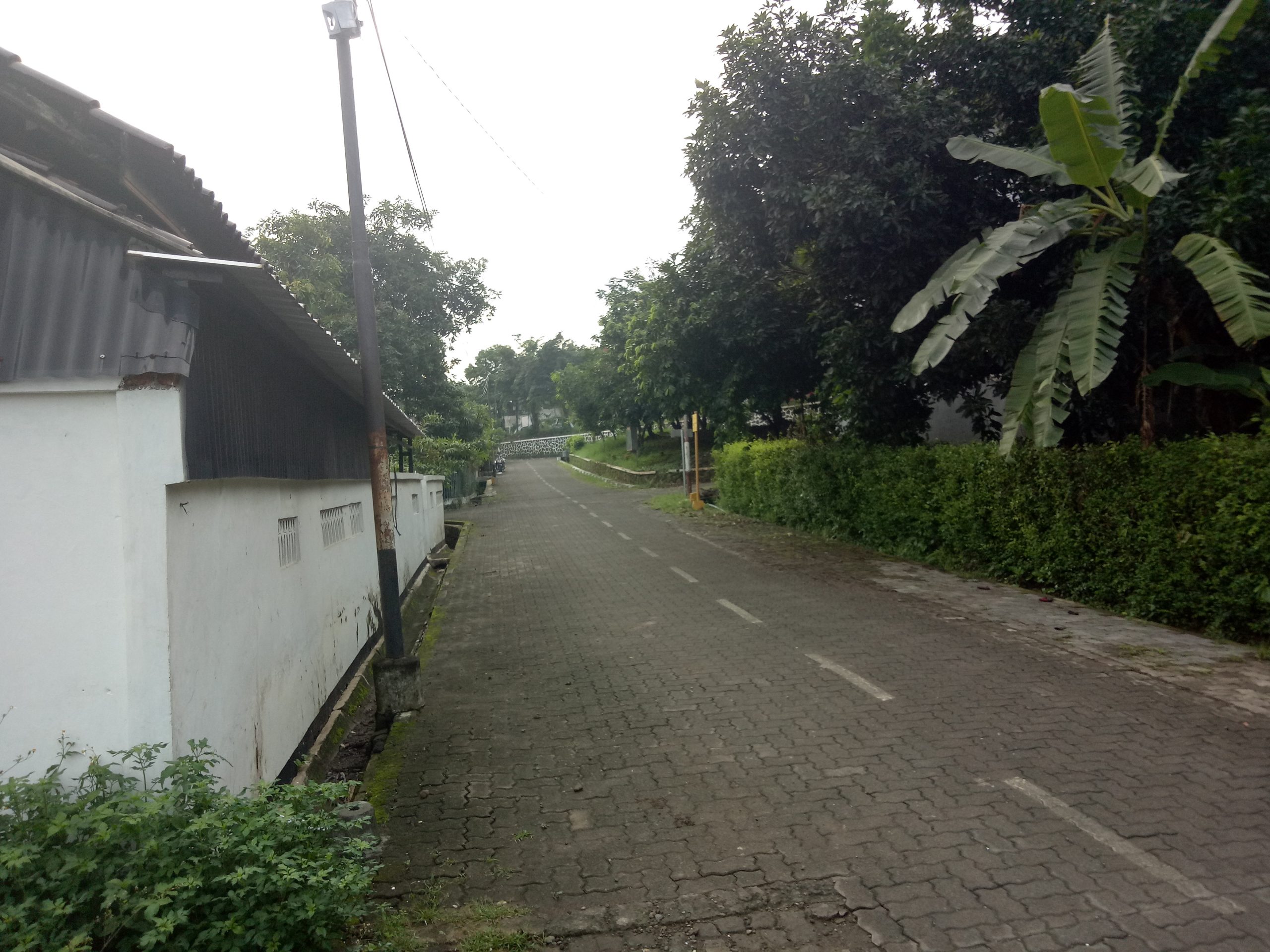 Tanah Murah  Luas di  Wahyu Utomo Ngaliyan  Semarang  